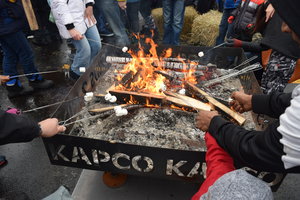 Kacpo Fireplace